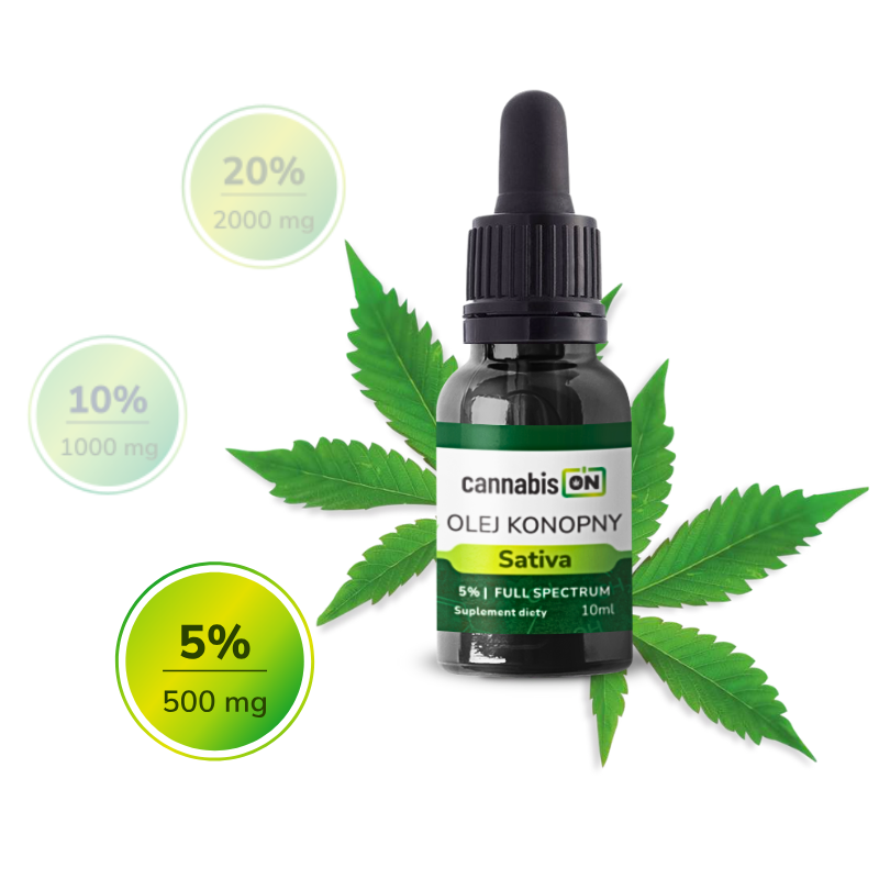 cbd_5_etap_rozpoznawczy