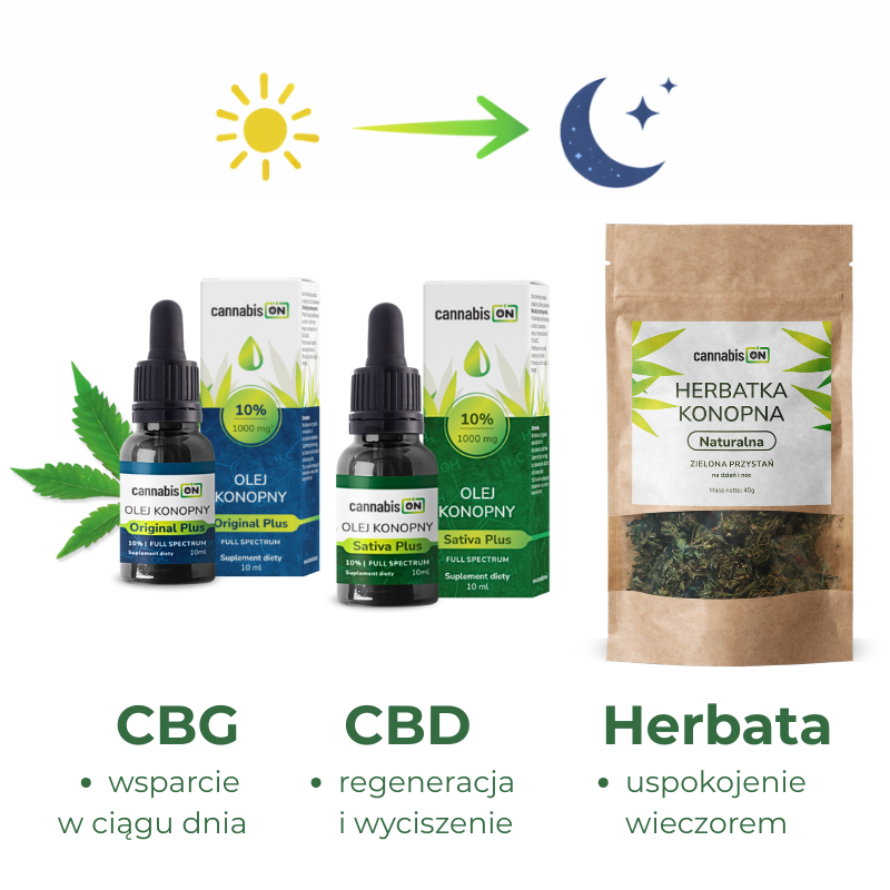 Zestaw CBD i CBG z herbatą konopną – schemat stosowania dzień i wieczór