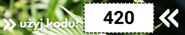 użyj kod