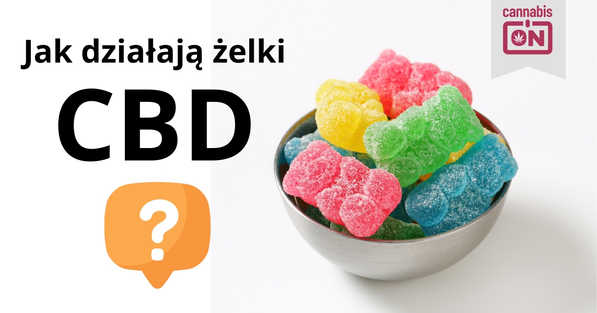 Działanie żelków CBD - jak działają i na co pomagają?