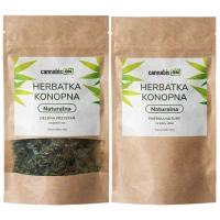 Rytm Dnia – Dzień / Wieczór