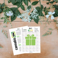 Konopie Zestaw na Nerwy Stres Napięcie