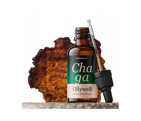 Chaga (Inonotus obliquus) 10:1 Mushroom ekstrakt 30 ml - Ollywell