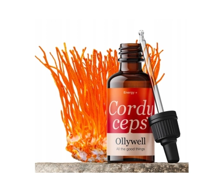 Cordyceps Militaris (Maczużnik bojowy) 10:1 Mushroom ekstrakt  30 ml - Ollywell