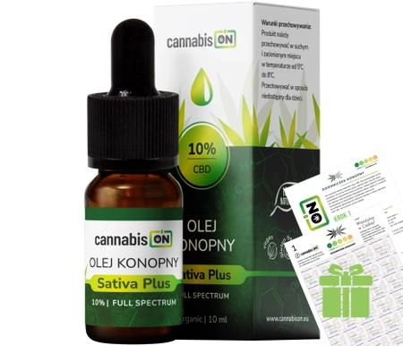 Olejek konopny 10% 1000mg CBD 10ml